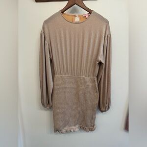 Pink Lily Small Champagne Bodycon Dress